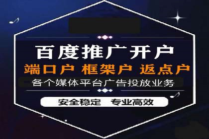 某行业领先企业背后的百度推广代理商策略